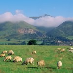 OCHIL-HILLS